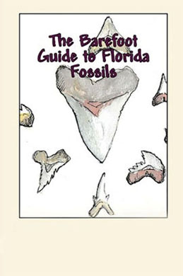 Barefoot Guide to Florida Fossils